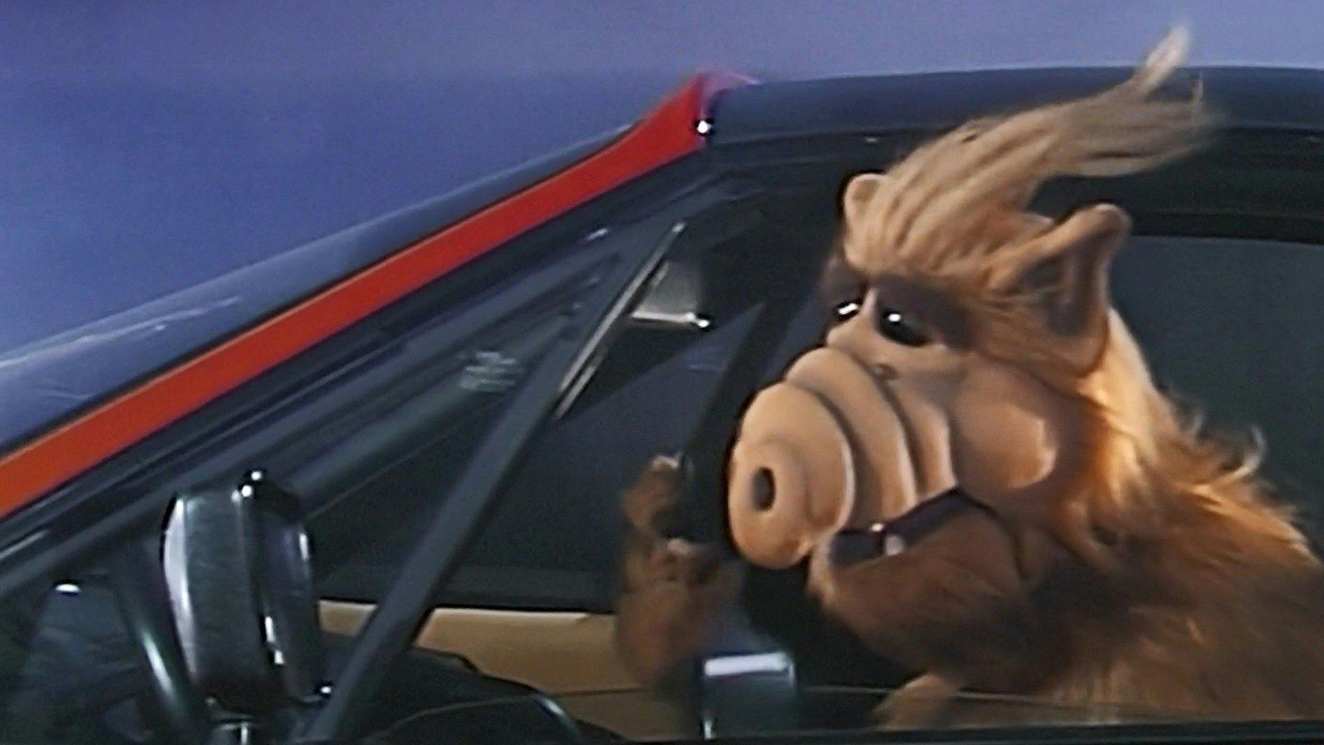 ALF, o ETeimoso - episódio 1x10