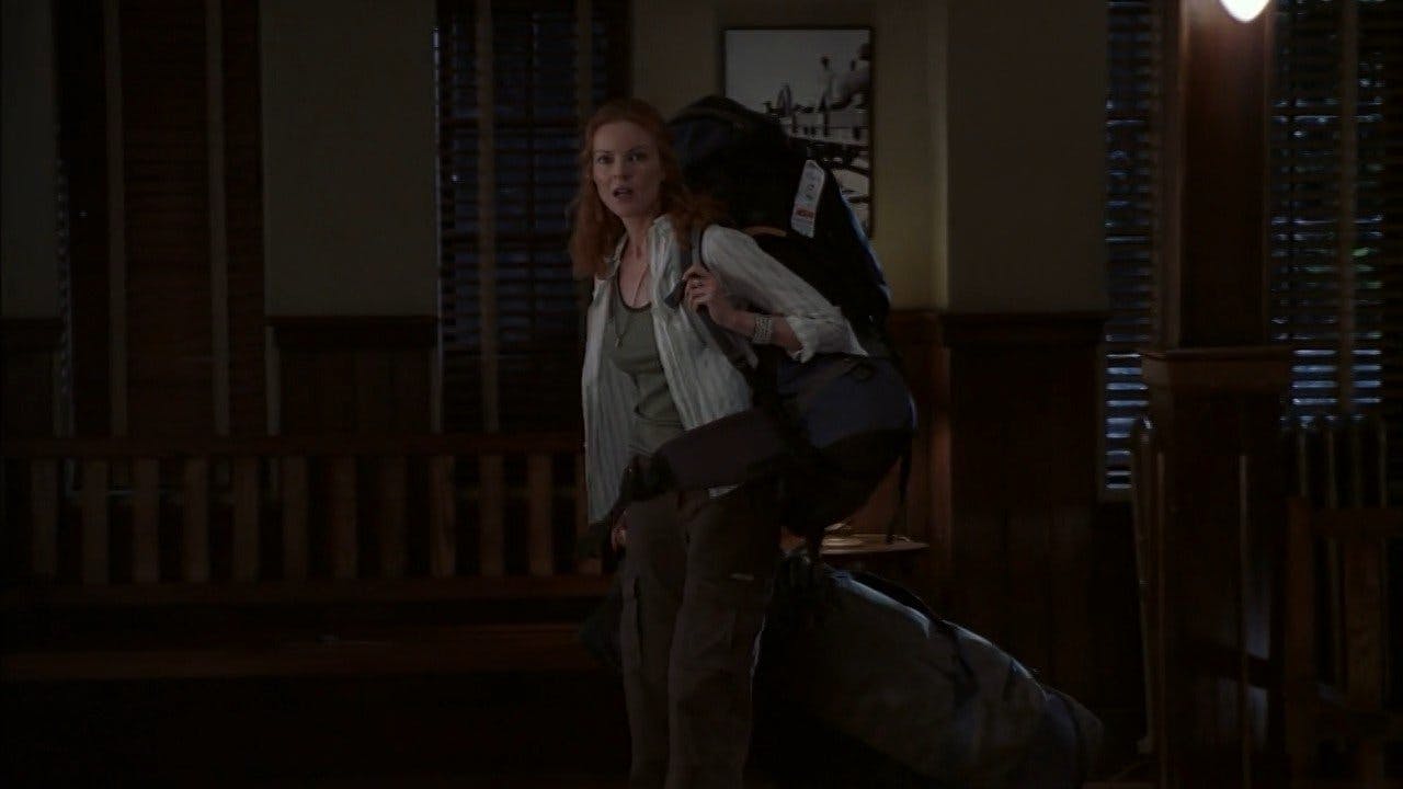 Everwood: Uma Segunda Chance backdrop