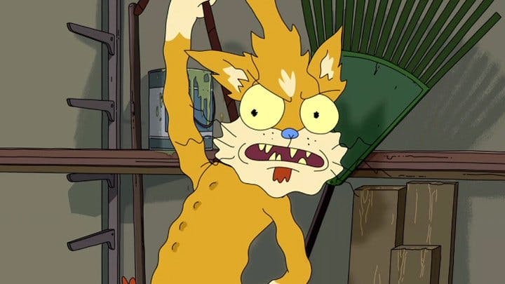 Rick e Morty - episódio 1x11