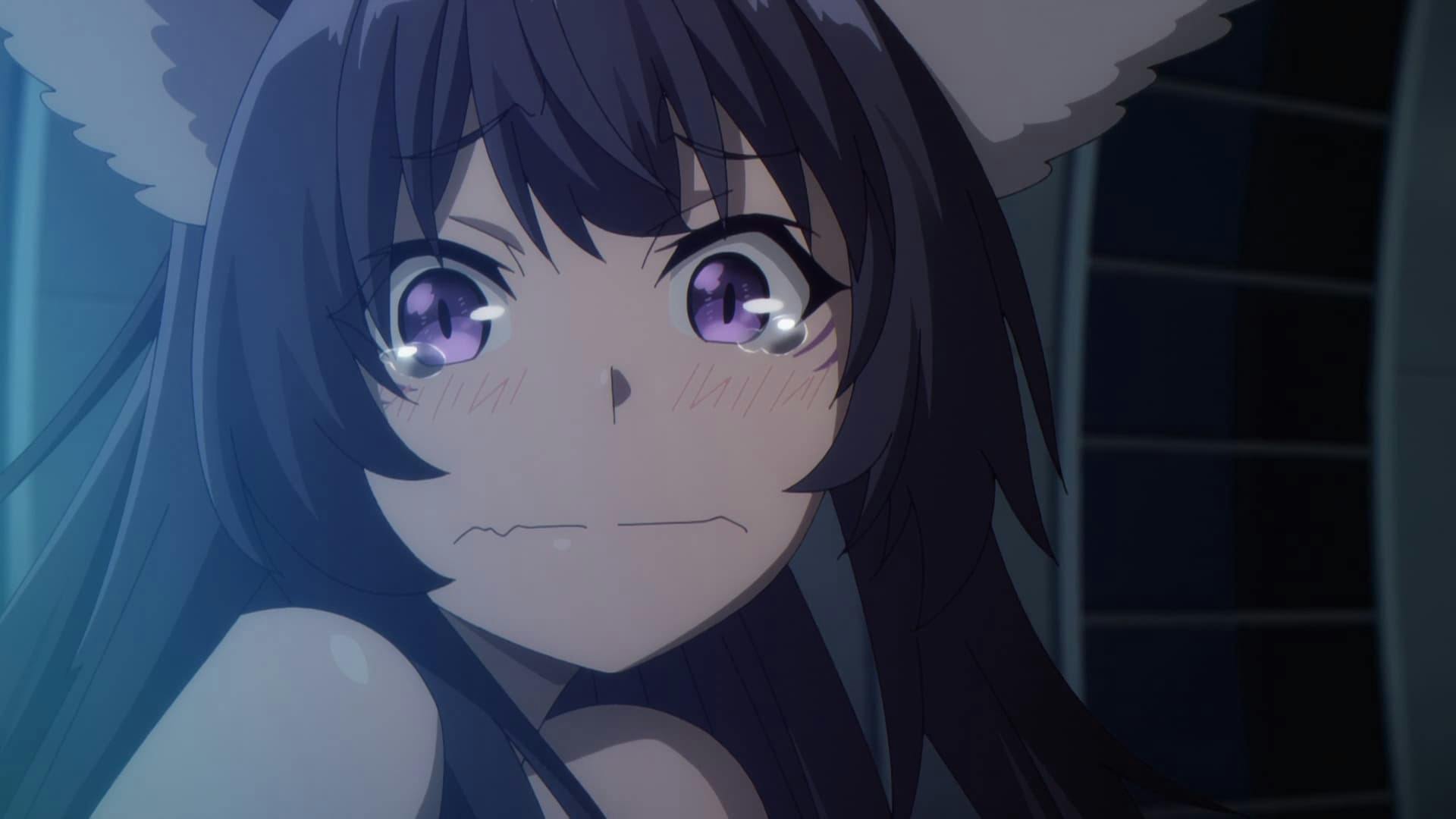 Kage no Jitsuryokusha ni Naritakute! - episódio 1x13