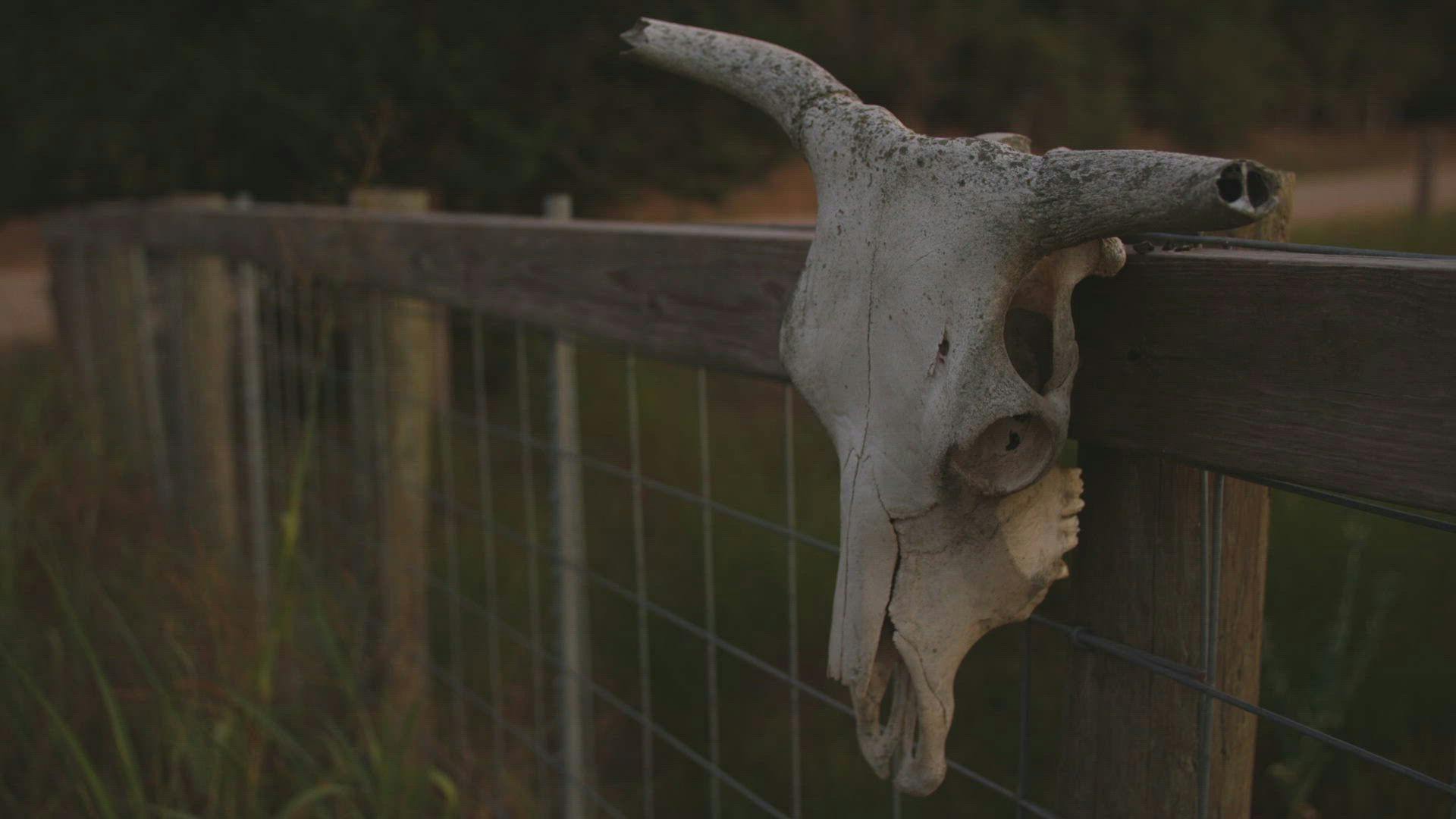 Casos Arquivados: Mortes no Velho Oeste backdrop