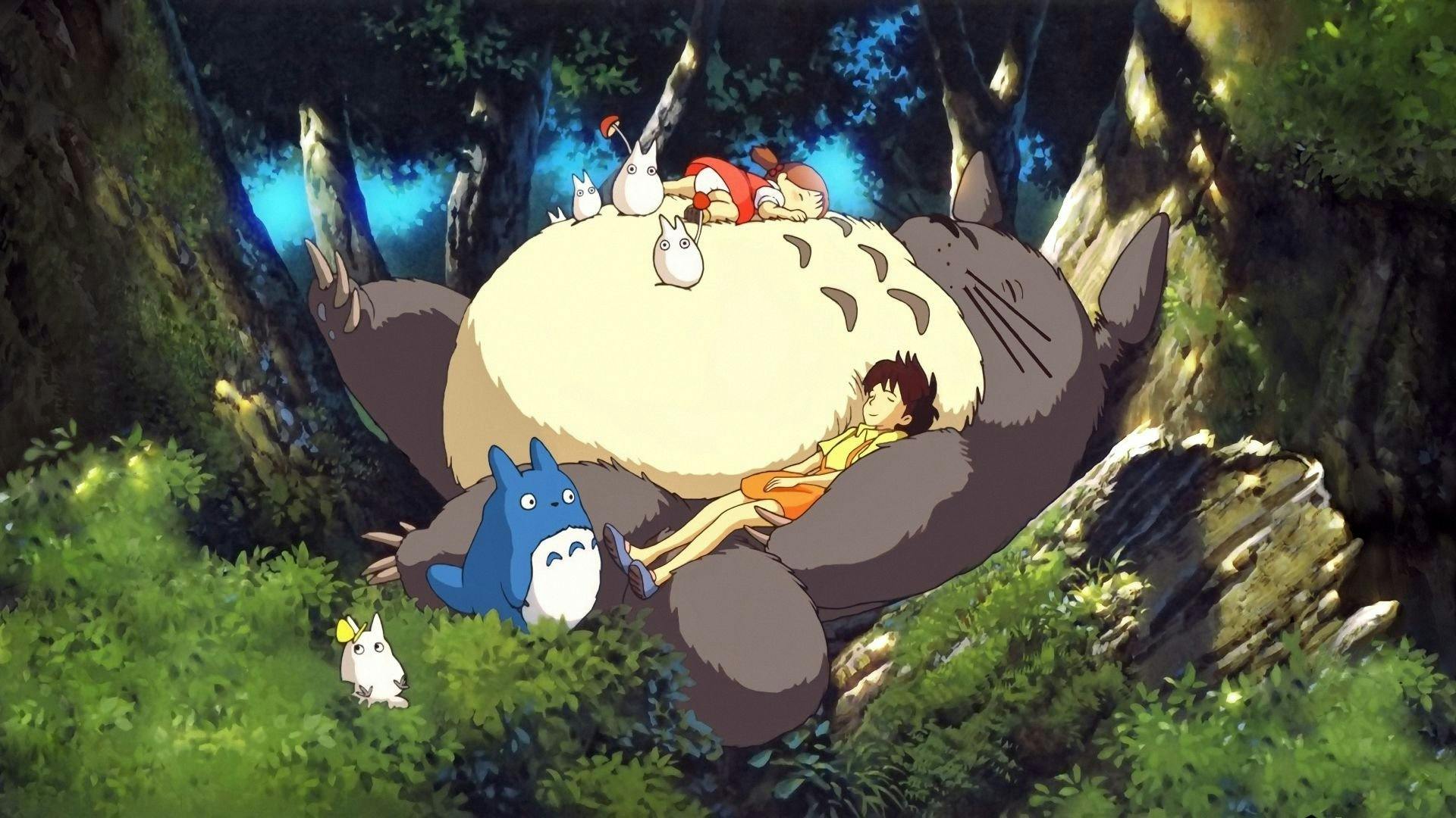 Meu Amigo Totoro backdrop