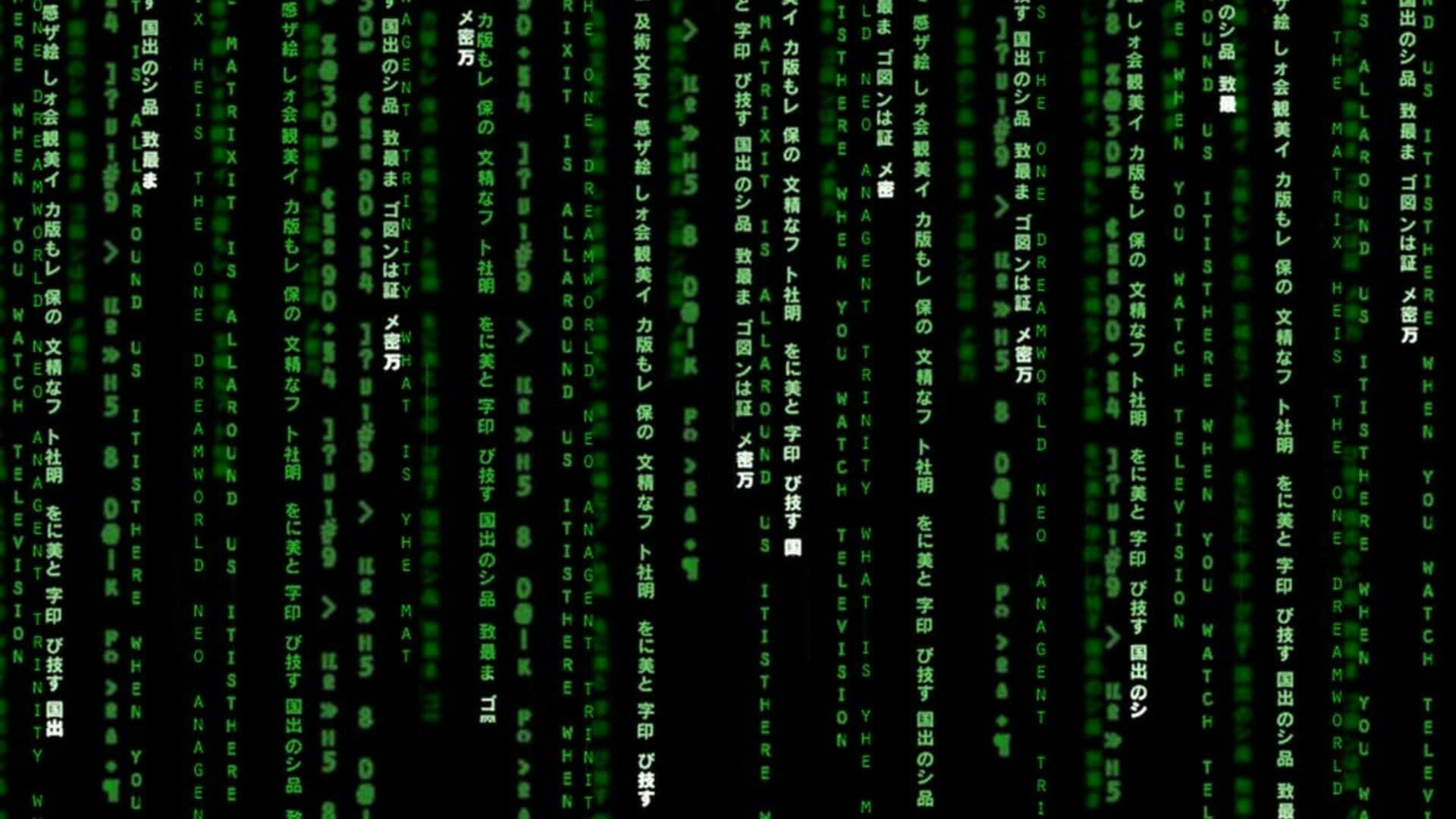 Matrix Reloaded backdrop