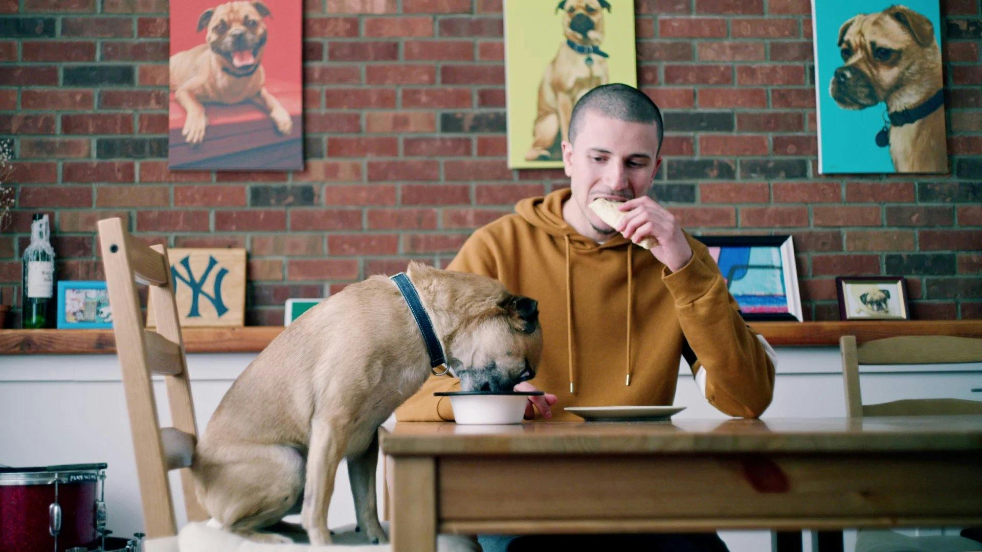 É o Bruno! - episódio 1x1