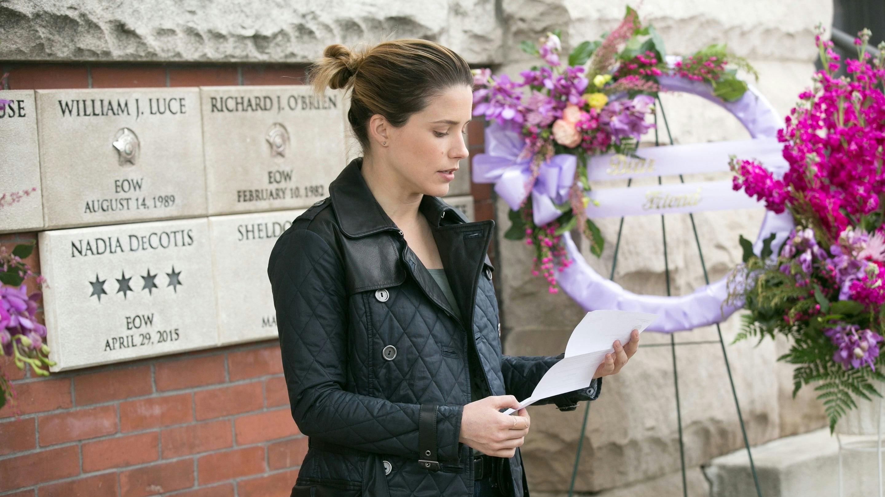Chicago P.D.: Distrito 21 - episódio 2x21