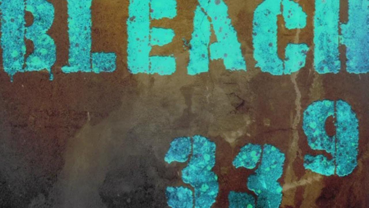 Bleach - episódio 1x339