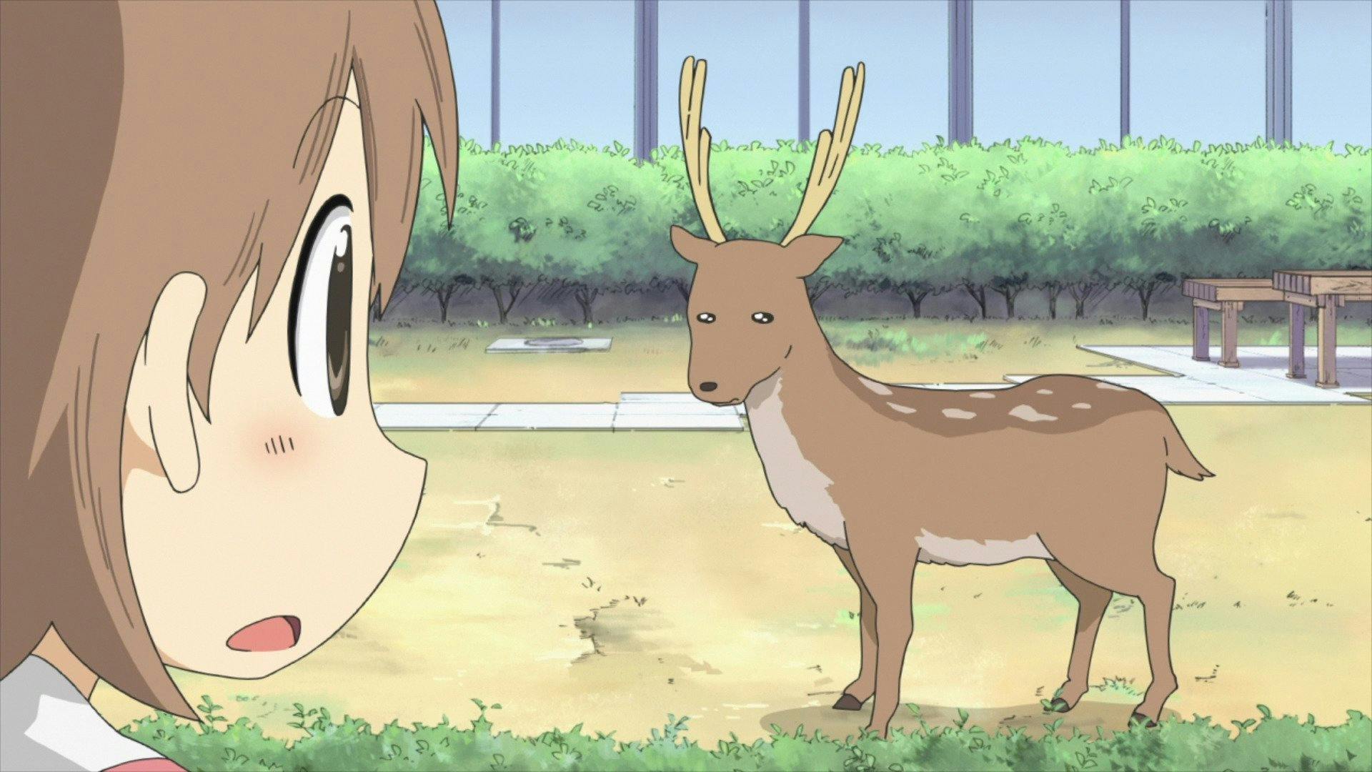 Nichijou - My Ordinary Life - episódio 1x6