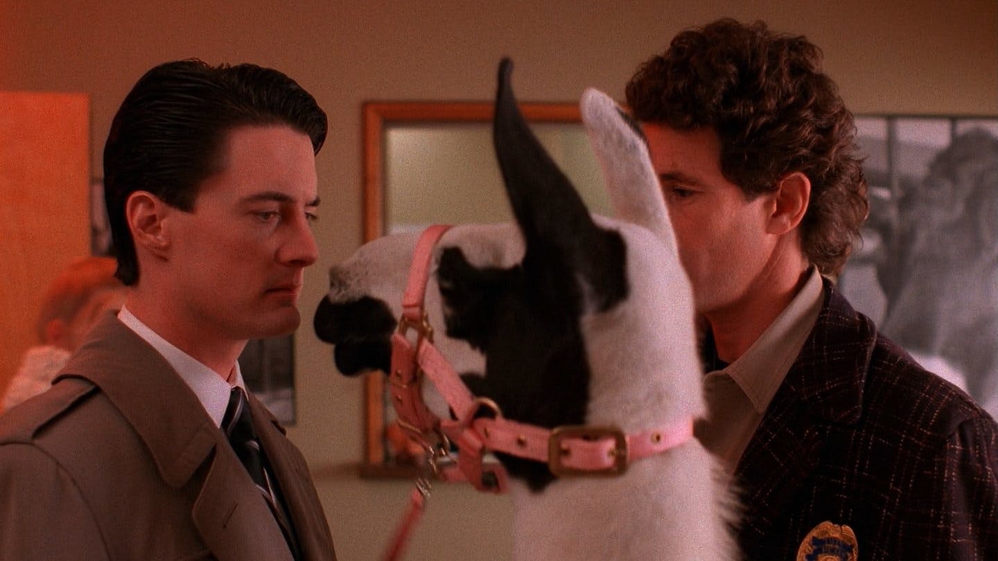 Twin Peaks - episódio 1x5