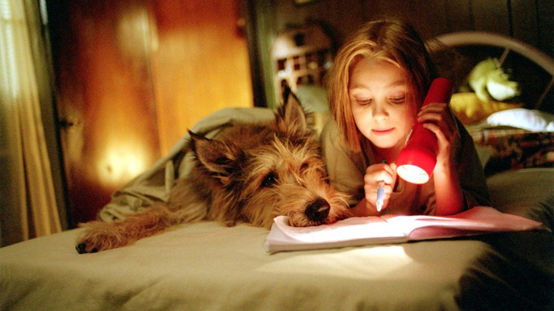 Meu Melhor Amigo backdrop