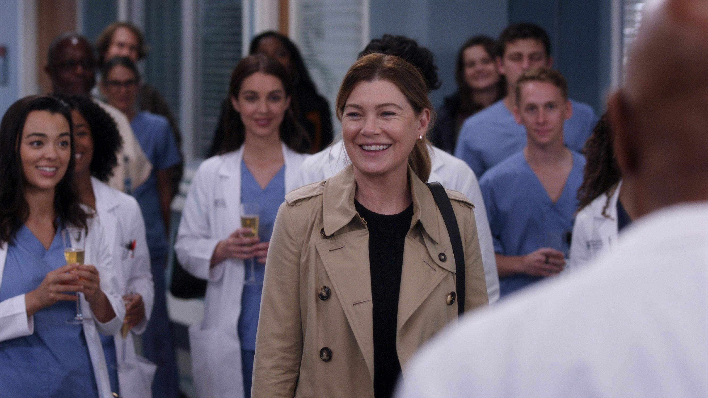 Grey's Anatomy - episódio 19x7