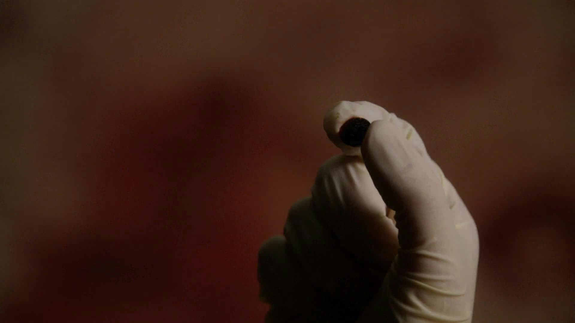 The Good Wife - Pelo Direito de Recomeçar - episódio 1x14