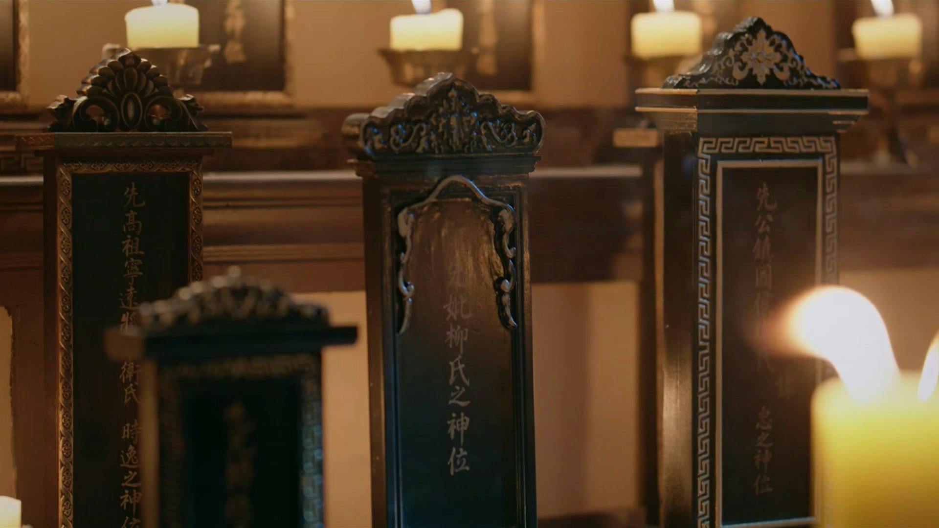 Luta pelo Amor backdrop