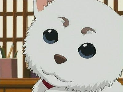 Gintama - episódio 1x10