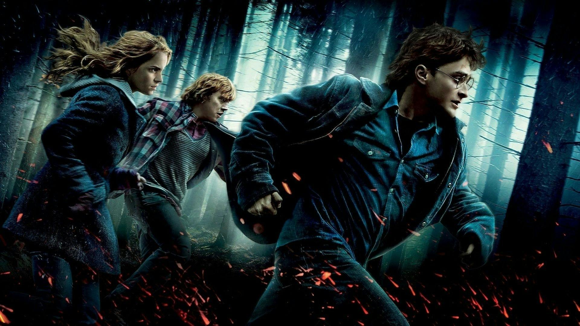 Harry Potter e as Relíquias da Morte - Parte 1 backdrop