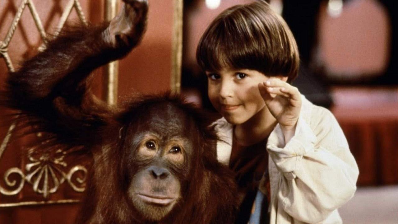 O Hóspede Quer Bananas backdrop