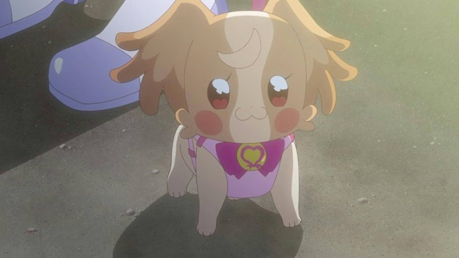 Wonderful Precure! - episódio 1x47