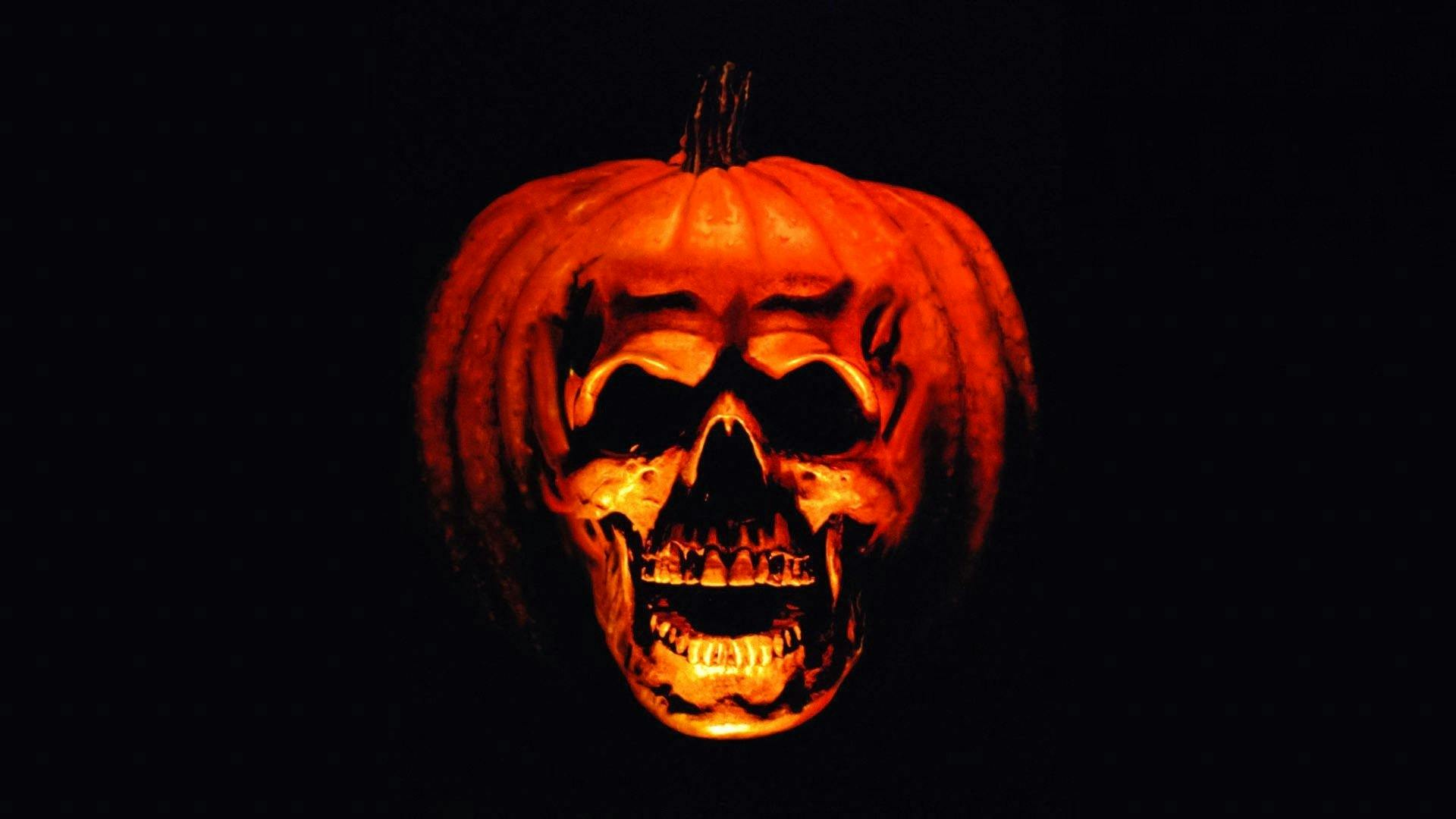 Halloween II: O Pesadelo Continua backdrop