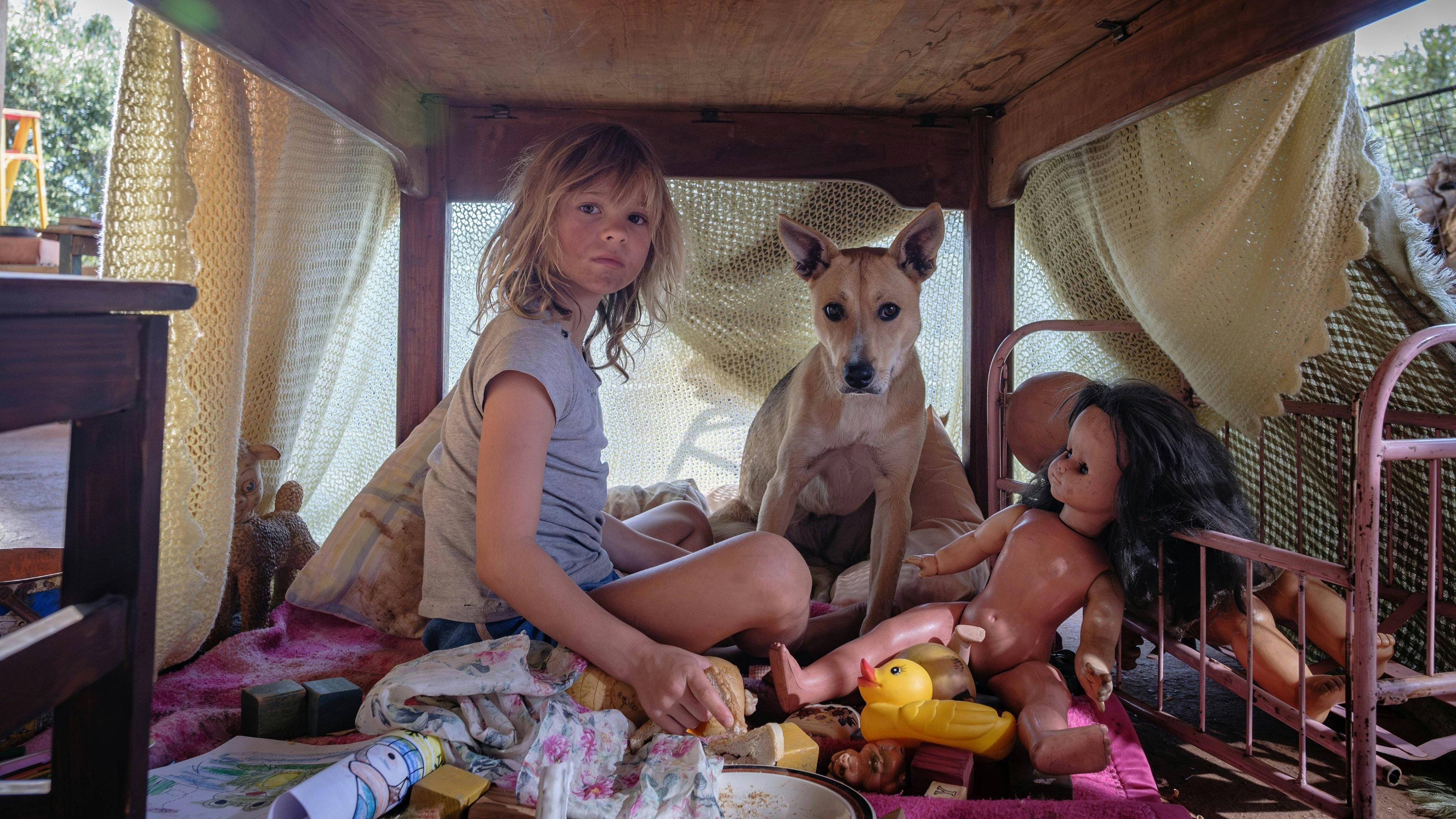 Feras no Jardim backdrop