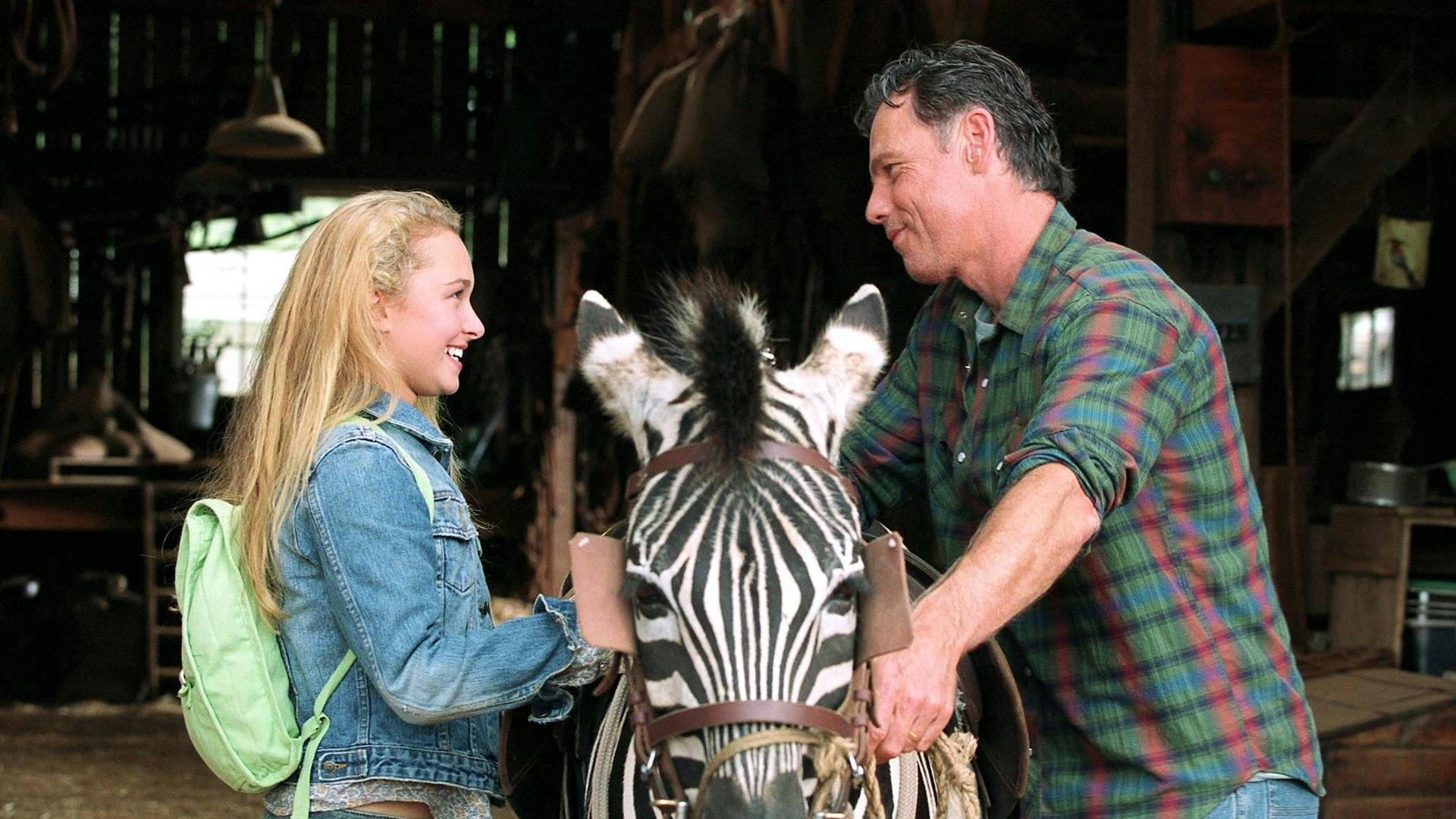 Deu Zebra! backdrop