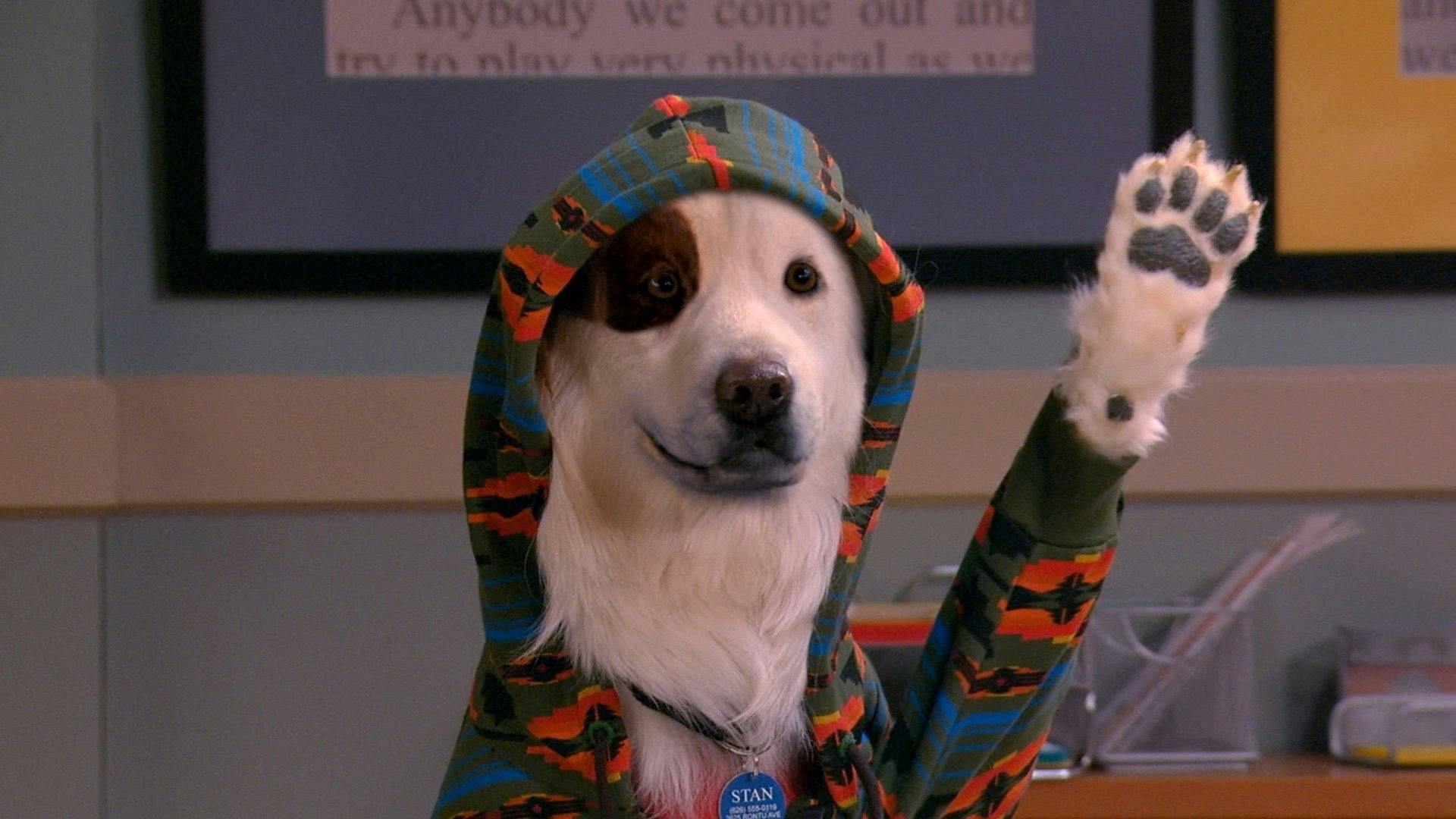 Stan, o Cão Blogueiro backdrop