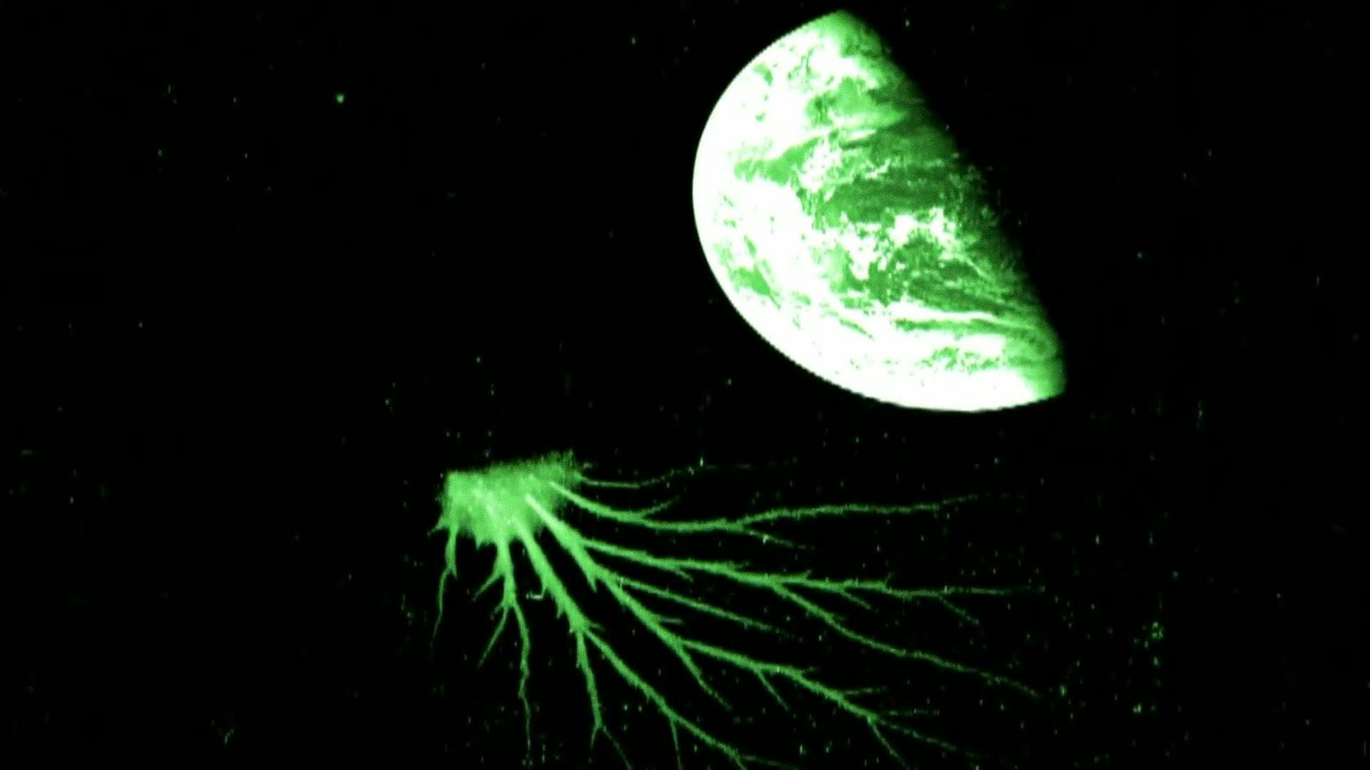 Segredos da NASA - episódio 1x7