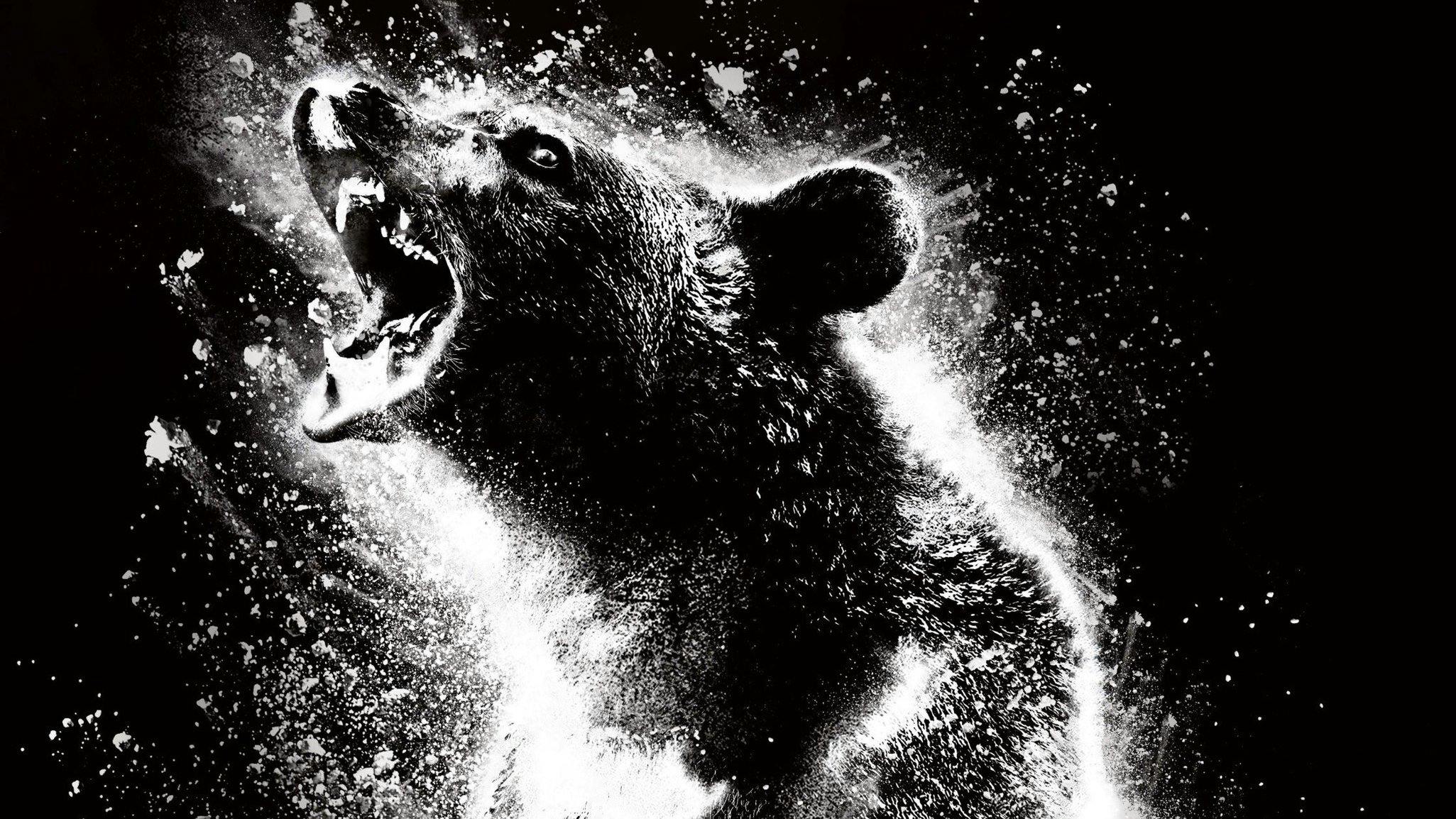 O Urso do Pó Branco backdrop
