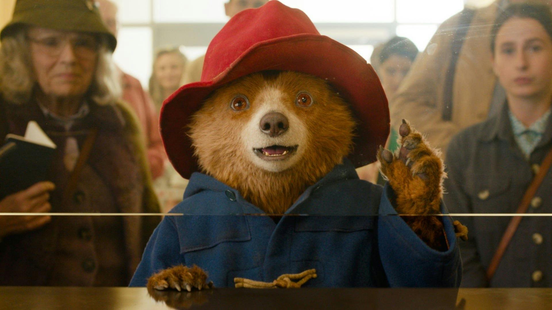 Paddington: Uma Aventura na Floresta backdrop