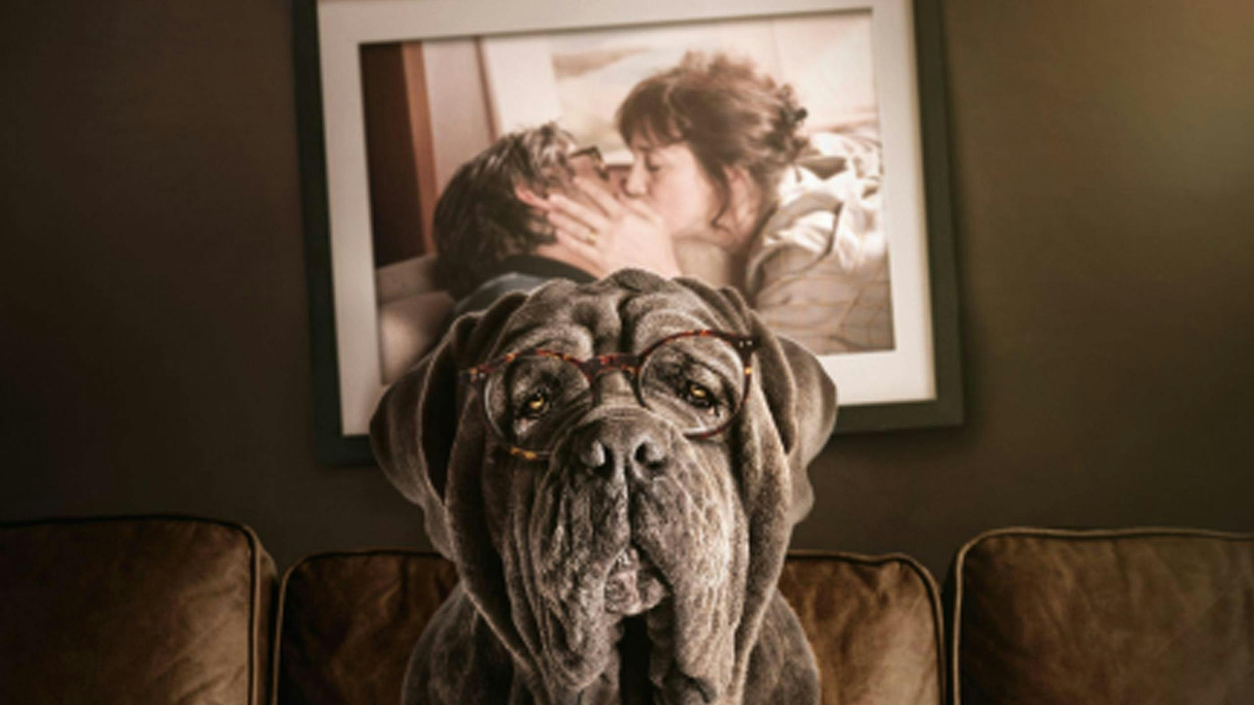 Meu Cachorro e Eu backdrop