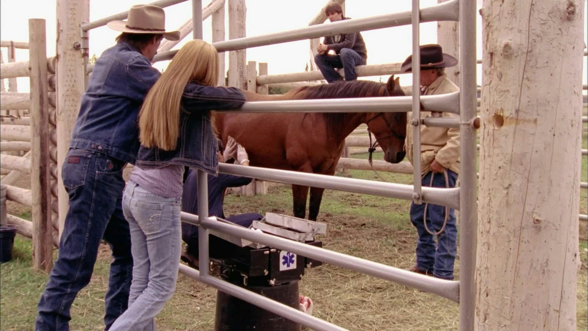 Heartland - episódio 1x7