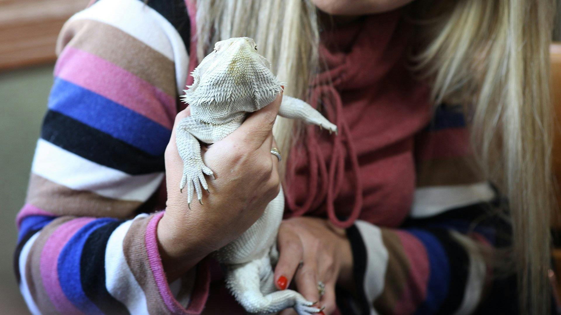 O Exótico Dr. Ole - episódio 1x6