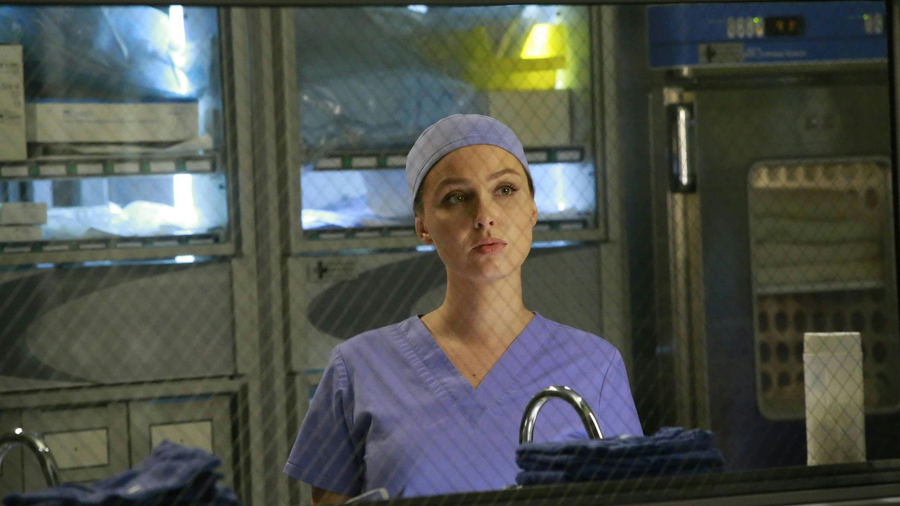 Grey's Anatomy - episódio 12x10