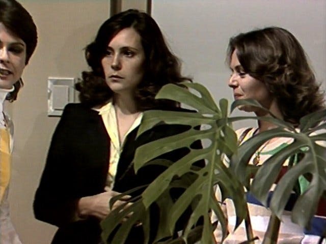 Plumas & Paetês - episódio 1x11