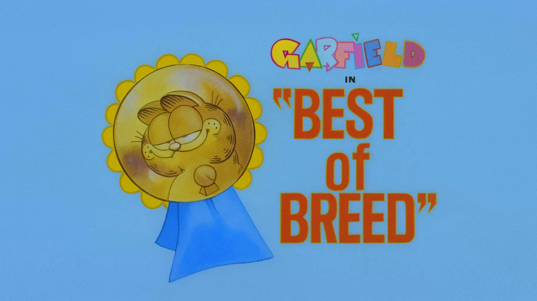 Garfield e Seus Amigos - episódio 1x31