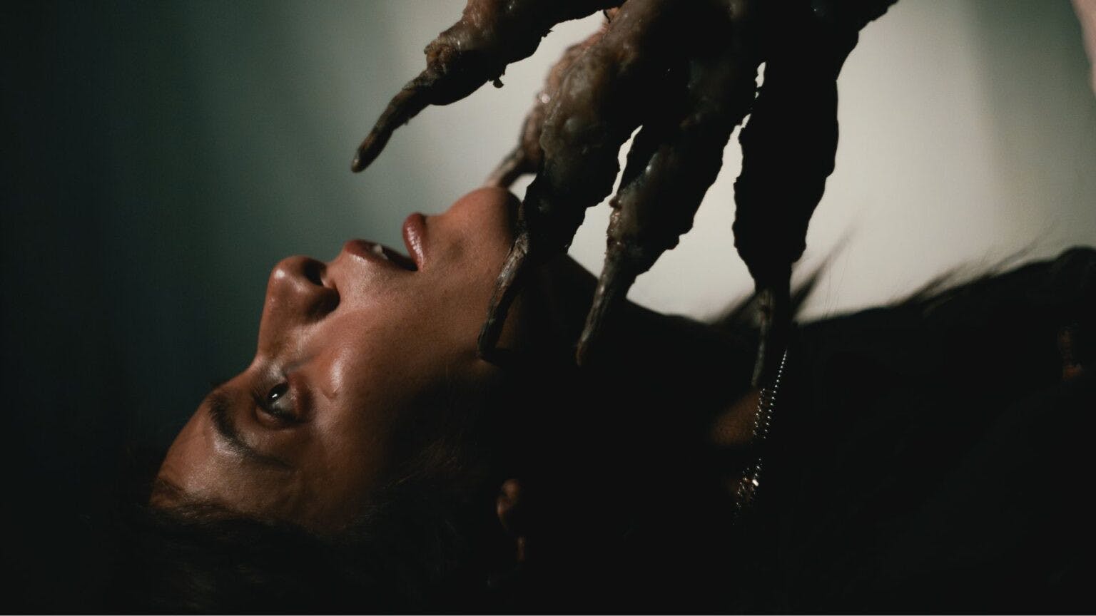 Não Me Siga backdrop