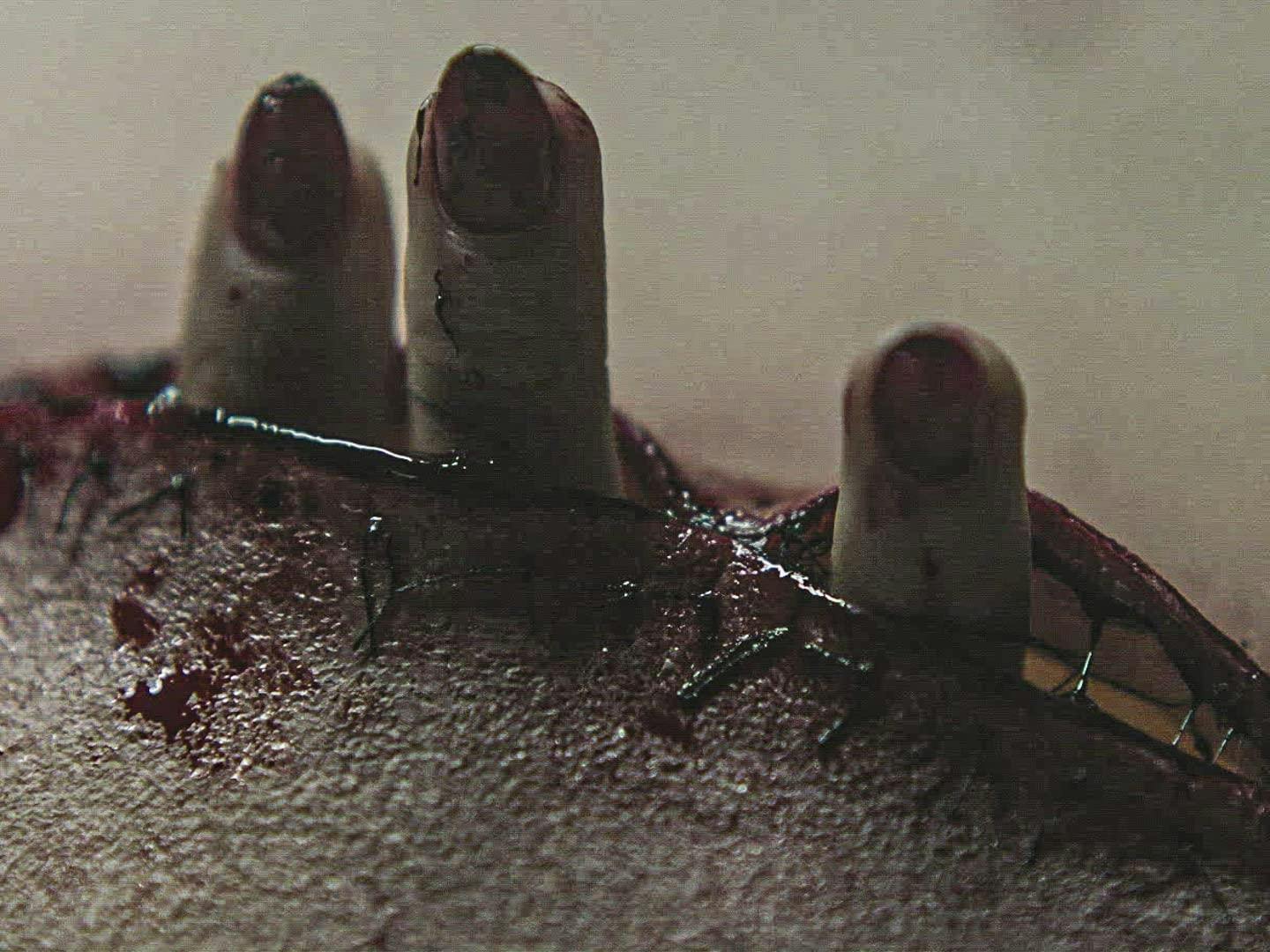 Histórias de Terror - episódio 1x5