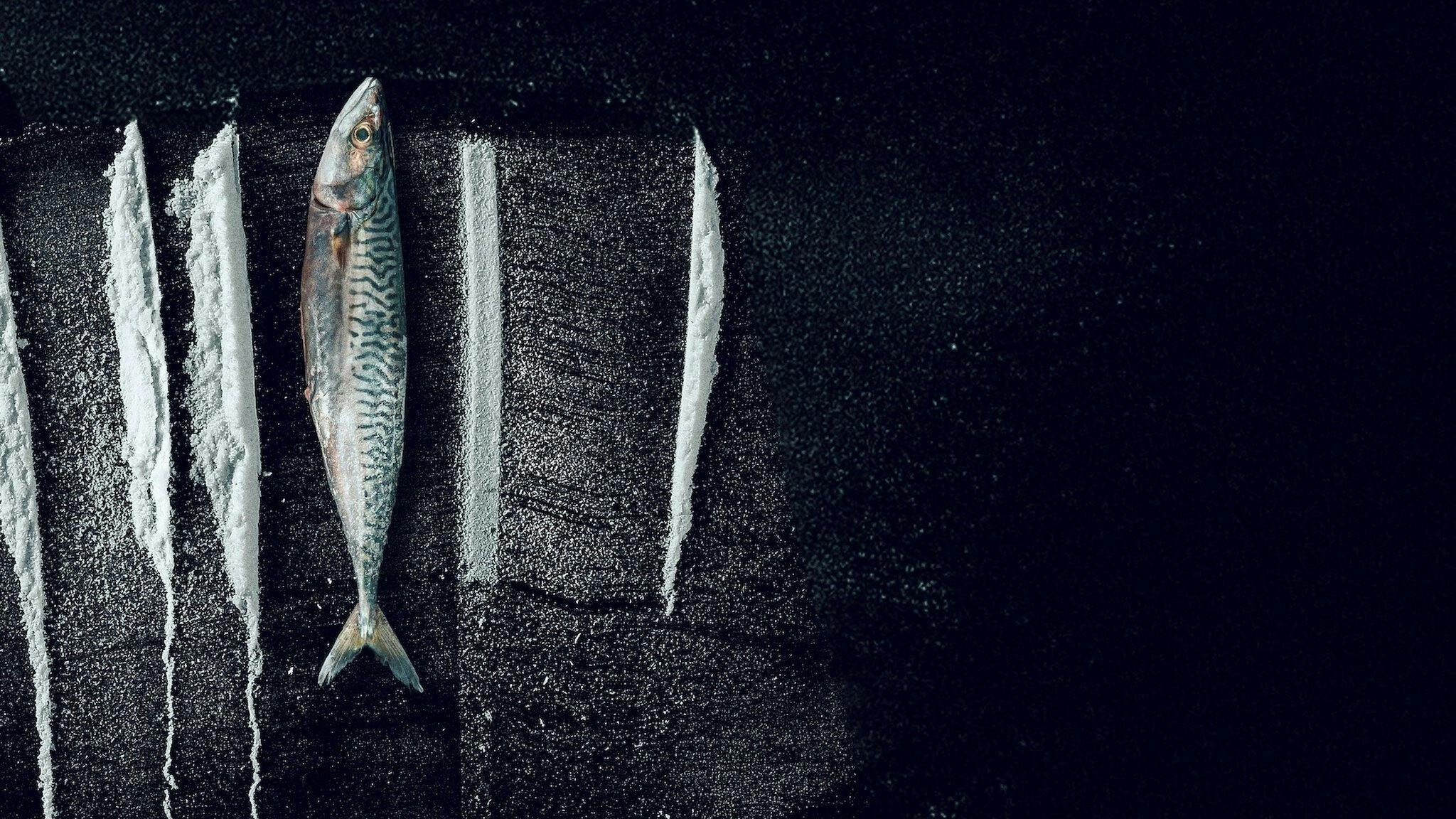 Mar Branco: A Surreal História de Rabo de Peixe backdrop