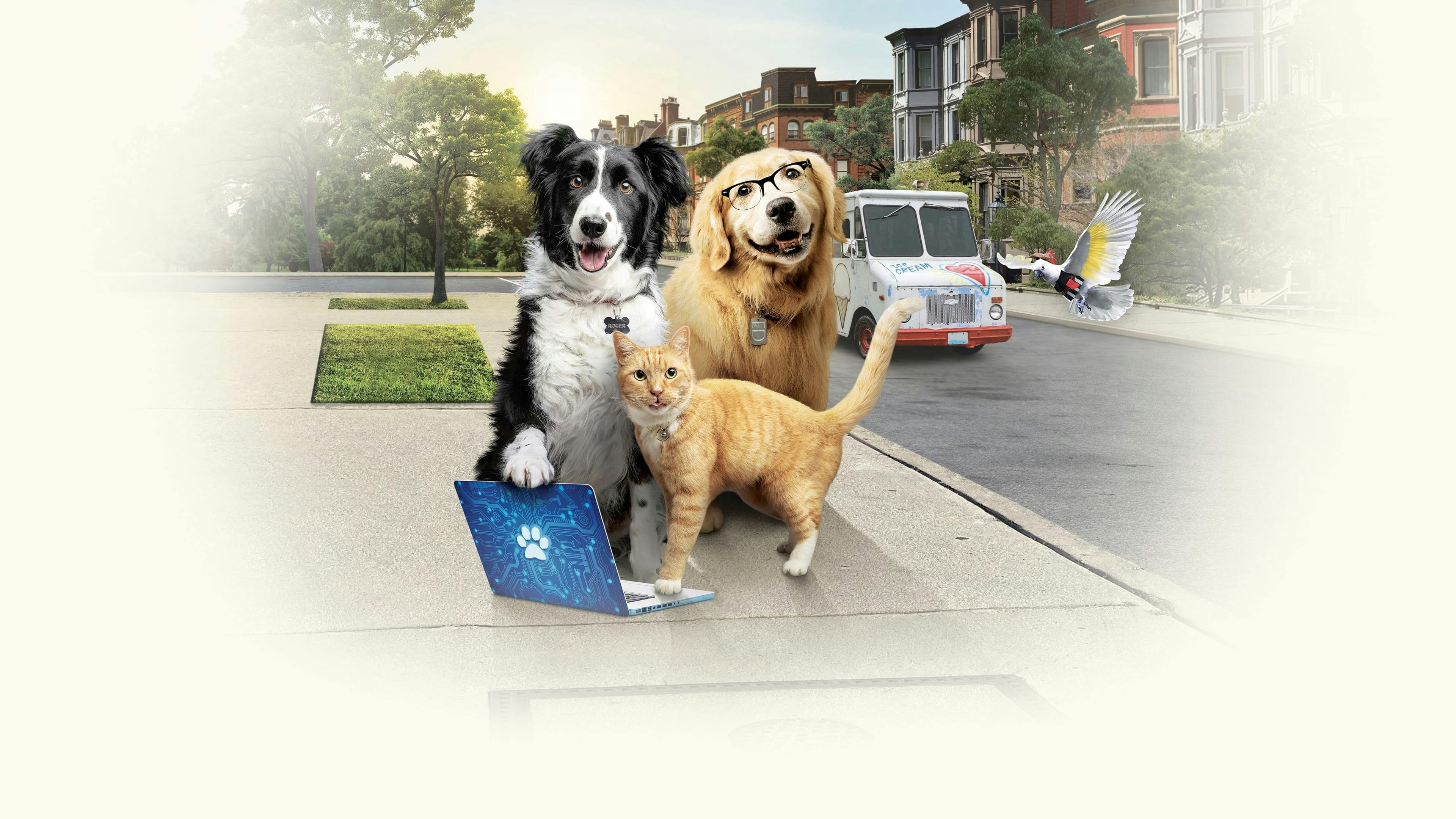 Como Cães e Gatos 3 - Peludos Unidos backdrop