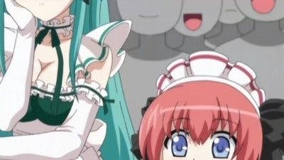 Weiss Survive