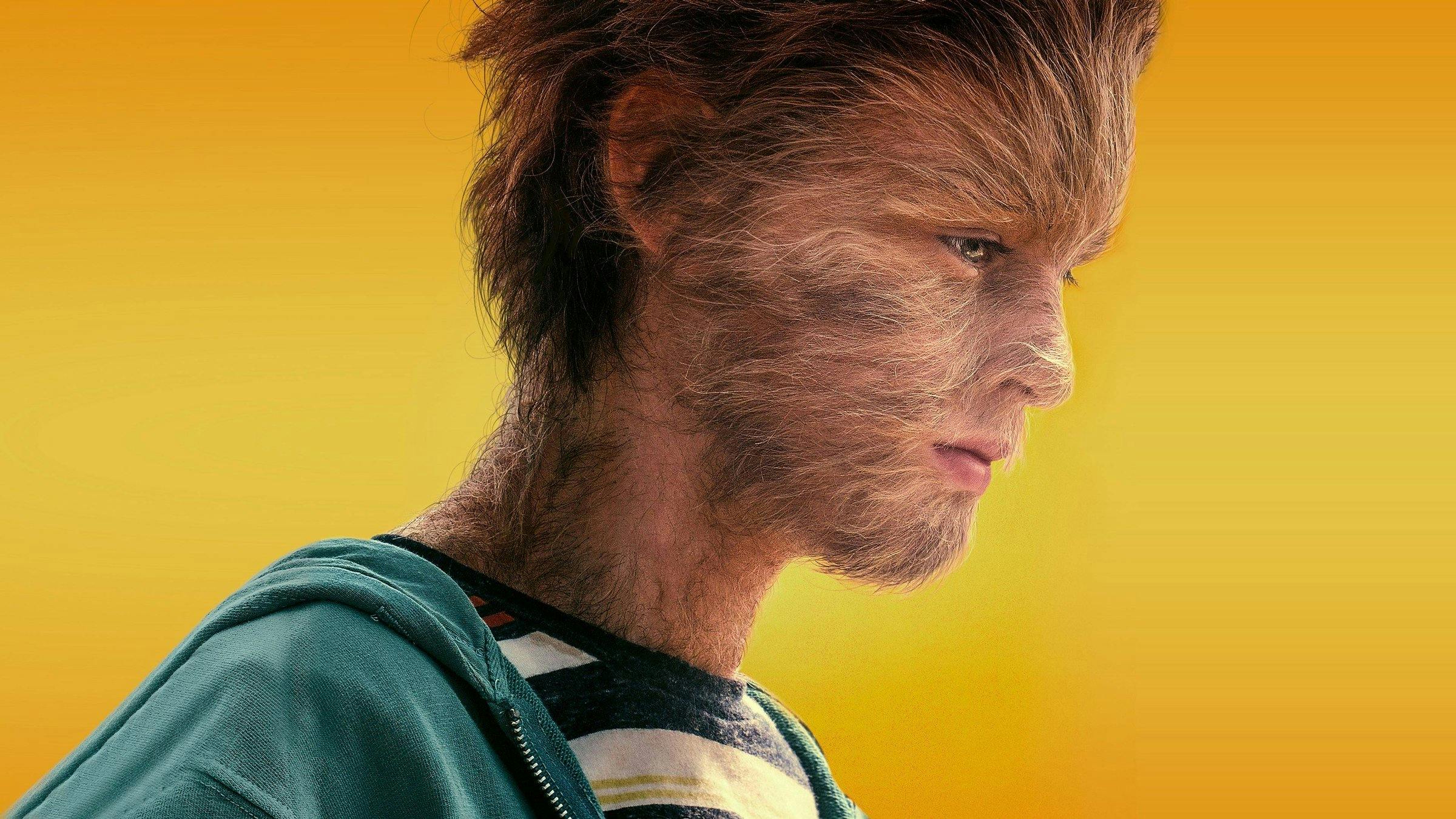 As Verdadeiras Aventuras do Menino Lobo backdrop