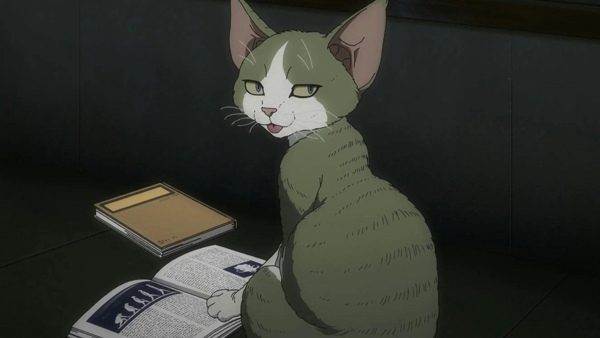 Nyaight of the Living Cat - episódio 1x7