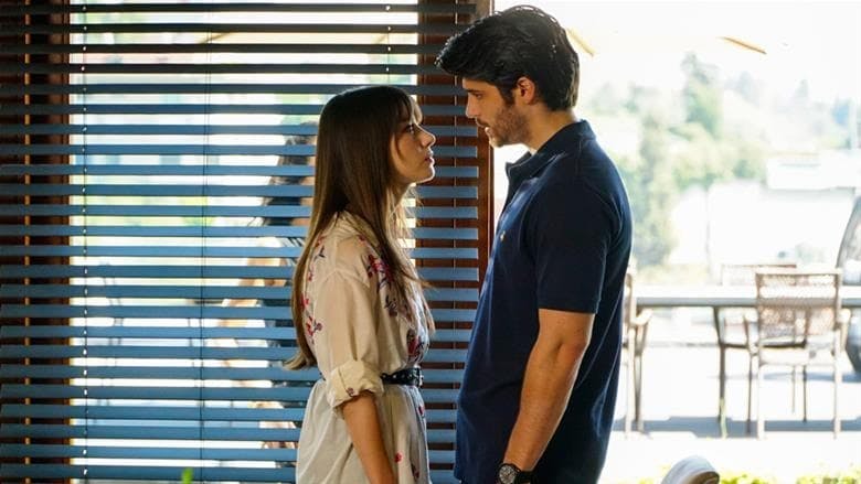 Dolunay - episódio 1x13