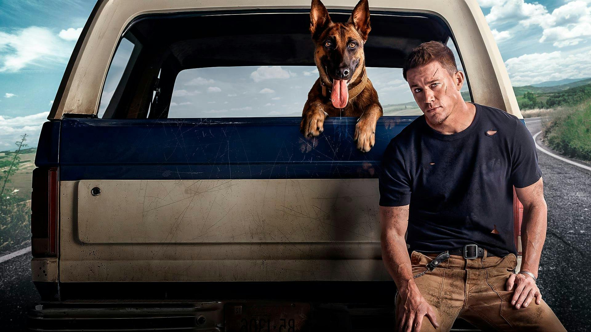 Dog - A Aventura de Uma Vida backdrop