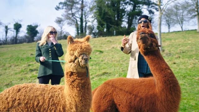 The Real Housewives of London backdrop