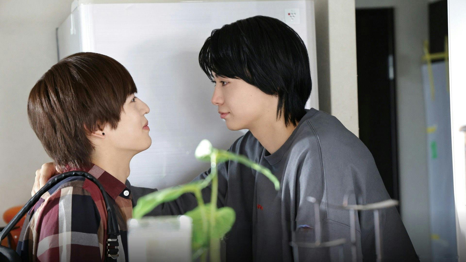 Cosmetic Playlover backdrop