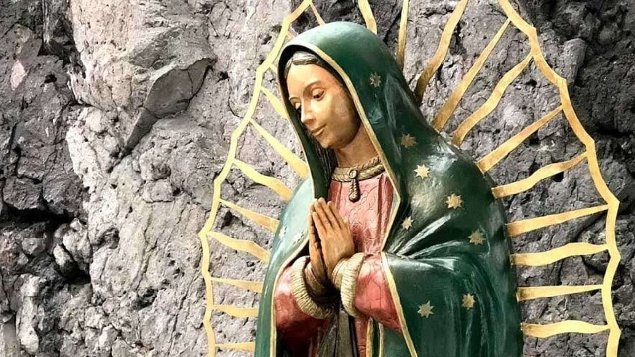 Nossa Senhora de Guadalupe backdrop