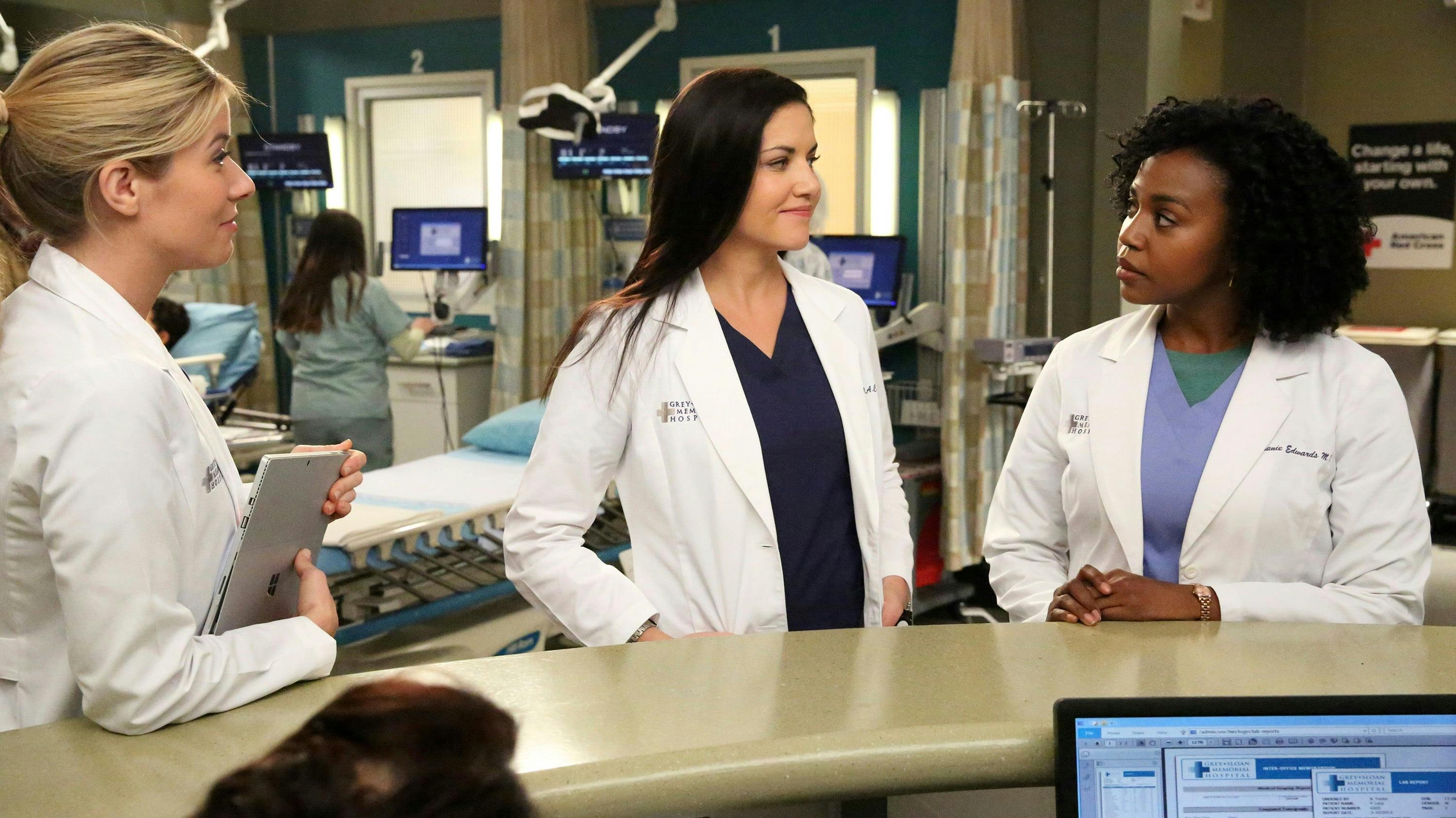 Grey's Anatomy - episódio 13x13