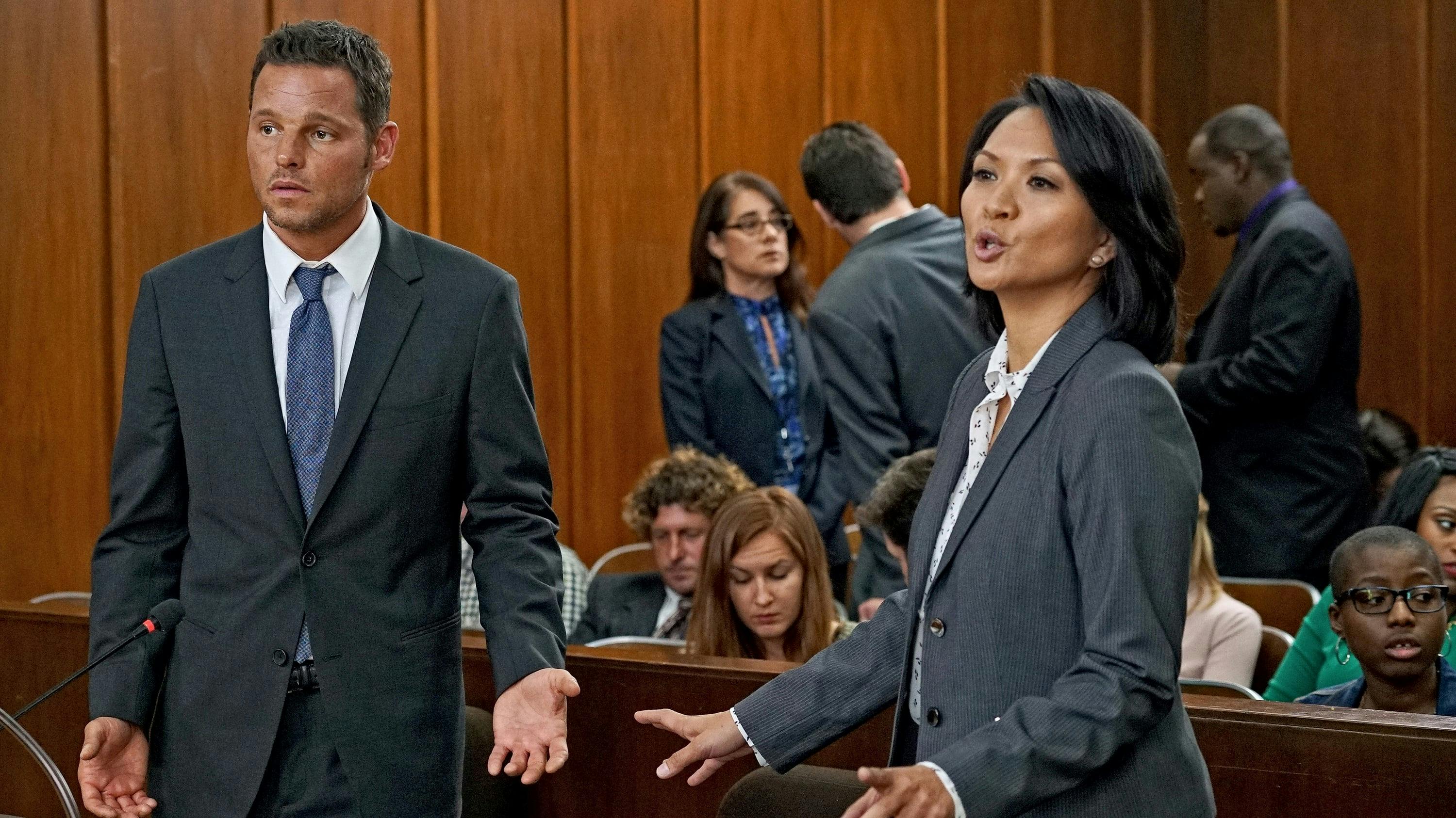 Grey's Anatomy - episódio 13x2