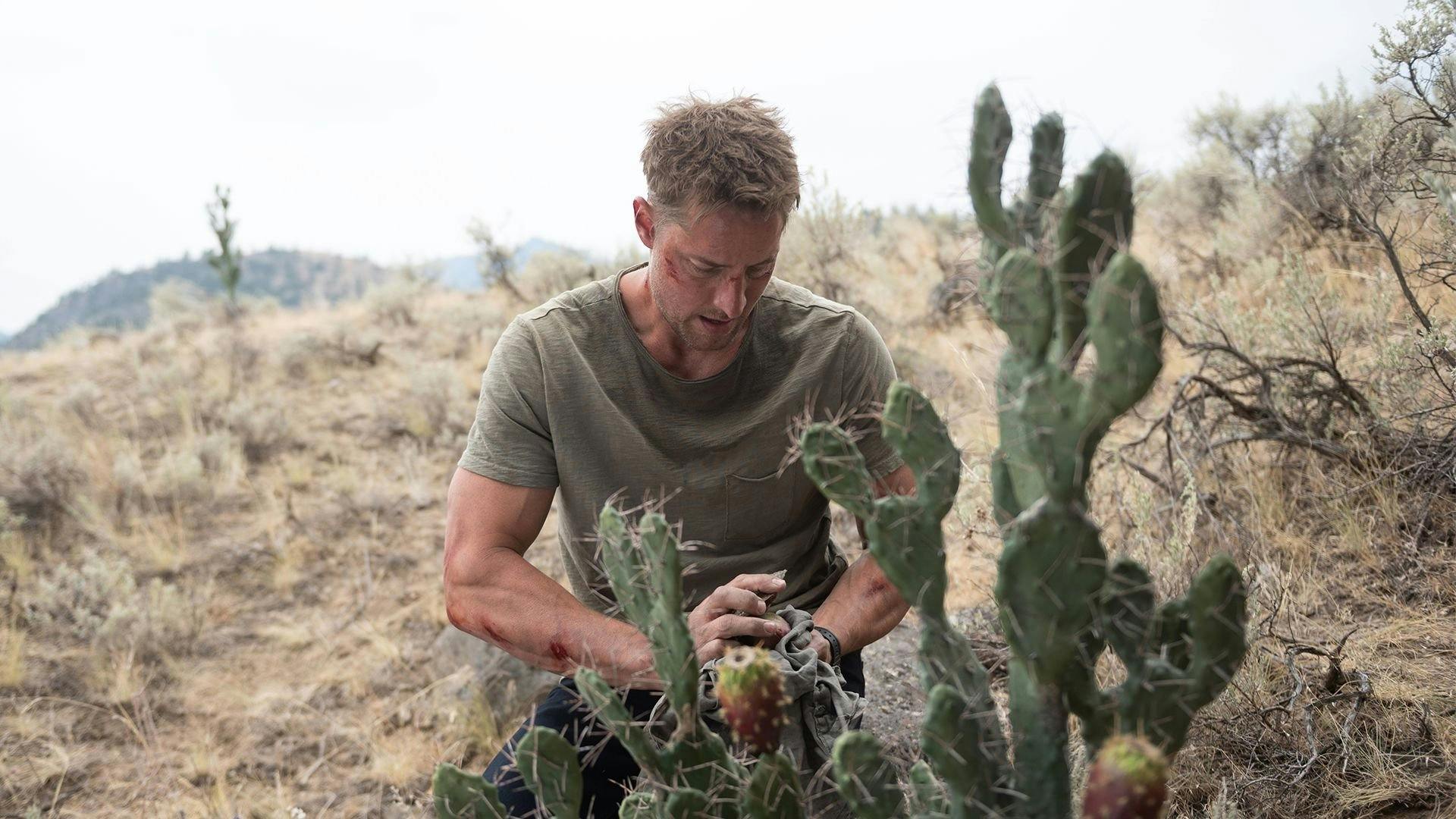 O Rastreador backdrop