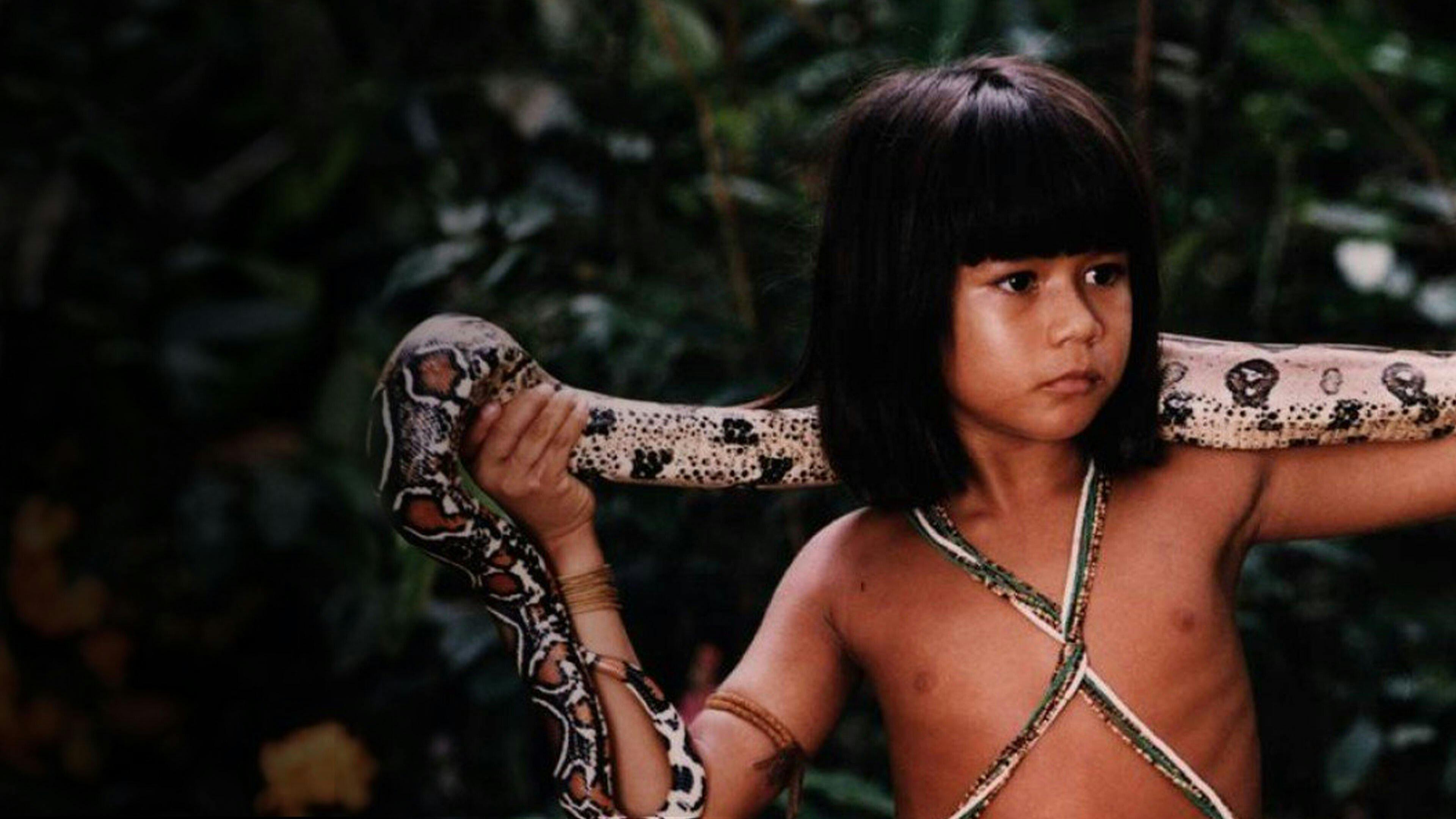 Tainá: Uma Aventura na Amazônia backdrop