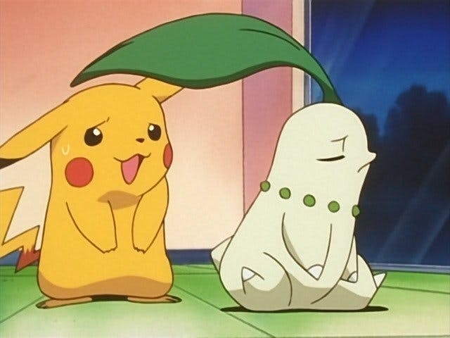 Chikorita, a temperamental!